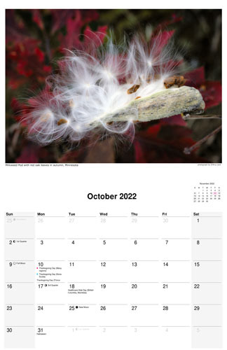 Nature Calendar, October 2022 by photographer D'Arcy Leck
