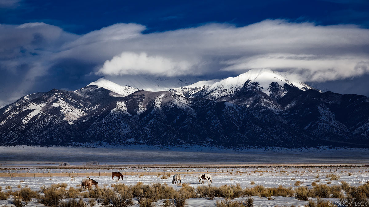 Horses graze in snowy field in San Luis Valley as winter storm clouds clear from Sangre de Cristo Mountains, Colorado