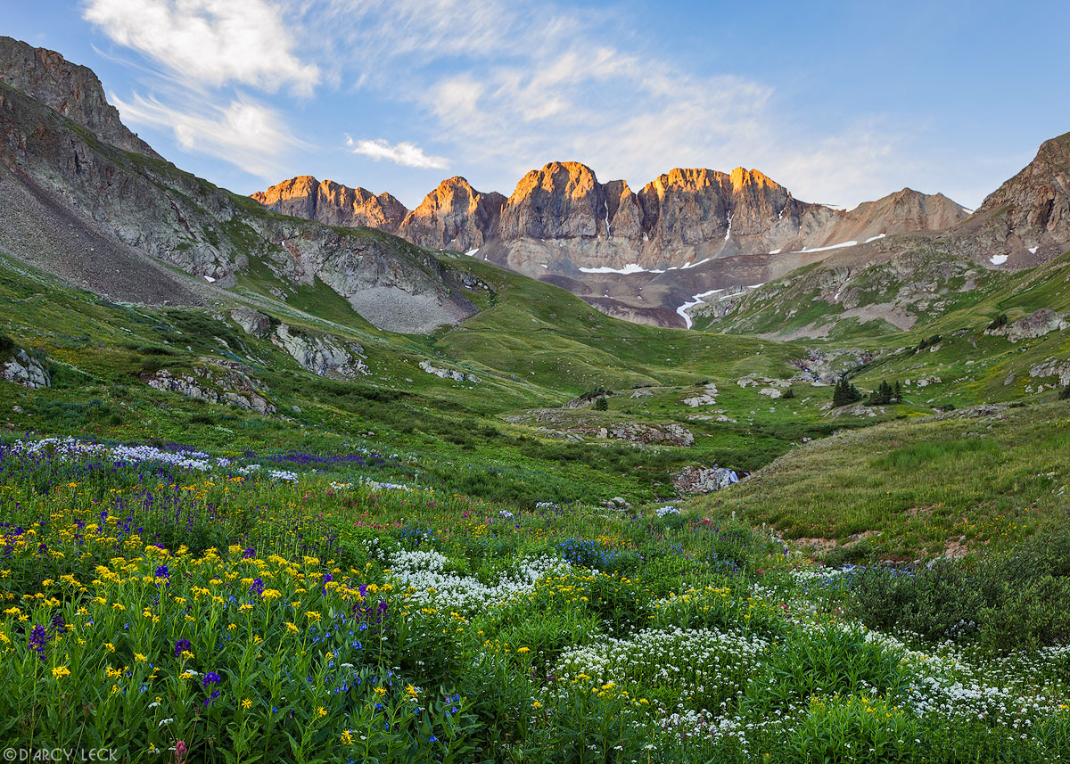 A field of alpine wildflowers blossom on a summer morning as sunrise light illuminates the mountain tops above American Basin, Colorado