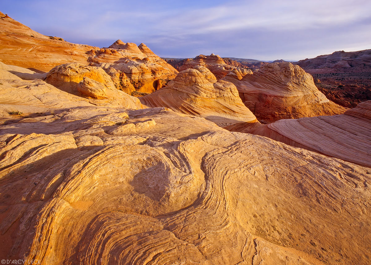 Sandstone rock formations at sunrise, Coyote Buttes Area, Paria Canyon-Vermilion Cliffs Wilderness, Arizona