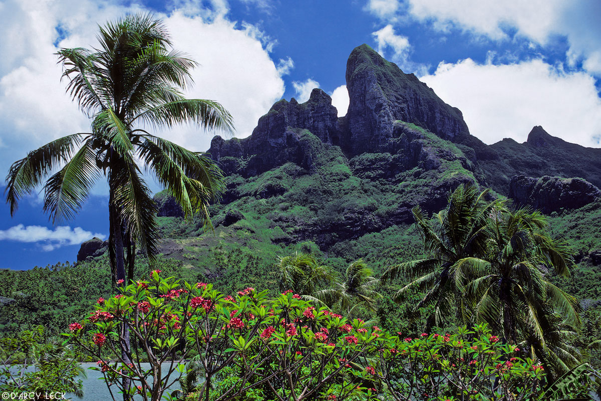 Mount Otemanu rises beyond tropical flora on Bora Bora, French Polynesia