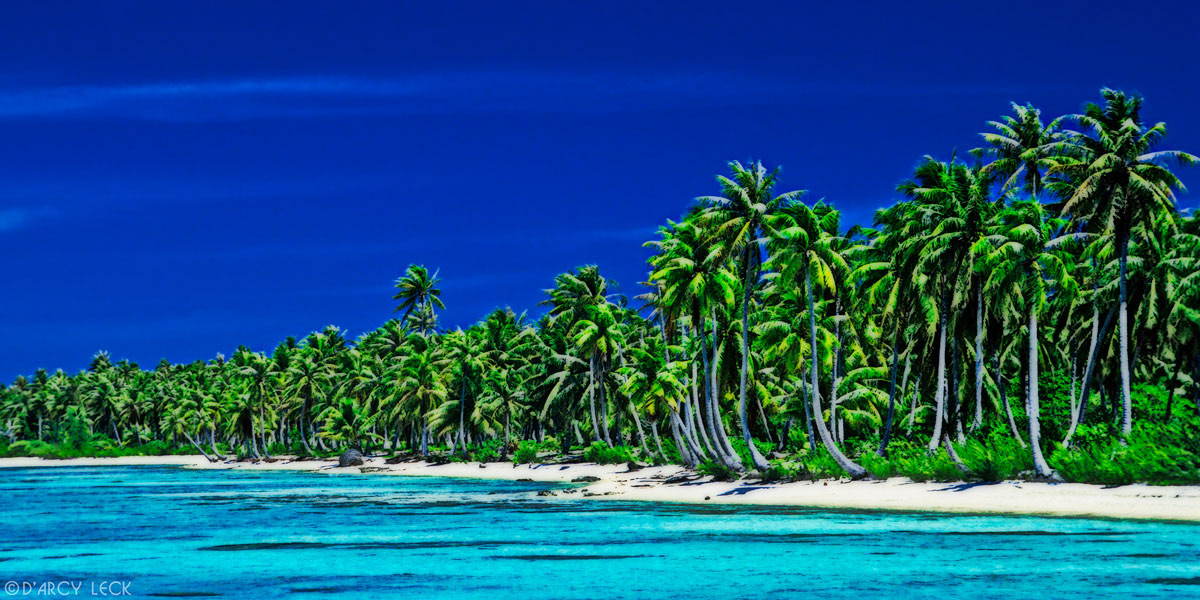 Shallow coral lagoon edges up to Coconut Palm tree-lined shore of Rangiroa, French Polynesia