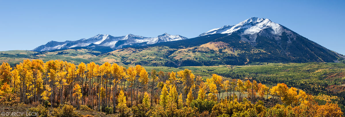 Aspen trees in Autumn colors stand before snow-capped East and West Beckwith Mountains in the Raggeds Wilderness, Colorado