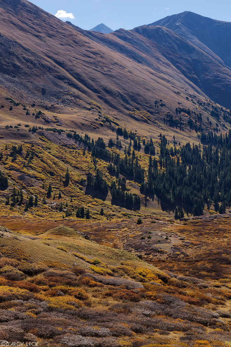 Alpine meadow climbs out of valley from forest towards Loveland Pass in Autumn, Colorado