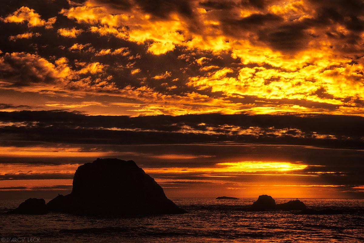 Sea stacks silhouetted against sunset sky and Pacific Ocean at Ruby Beach, Washington