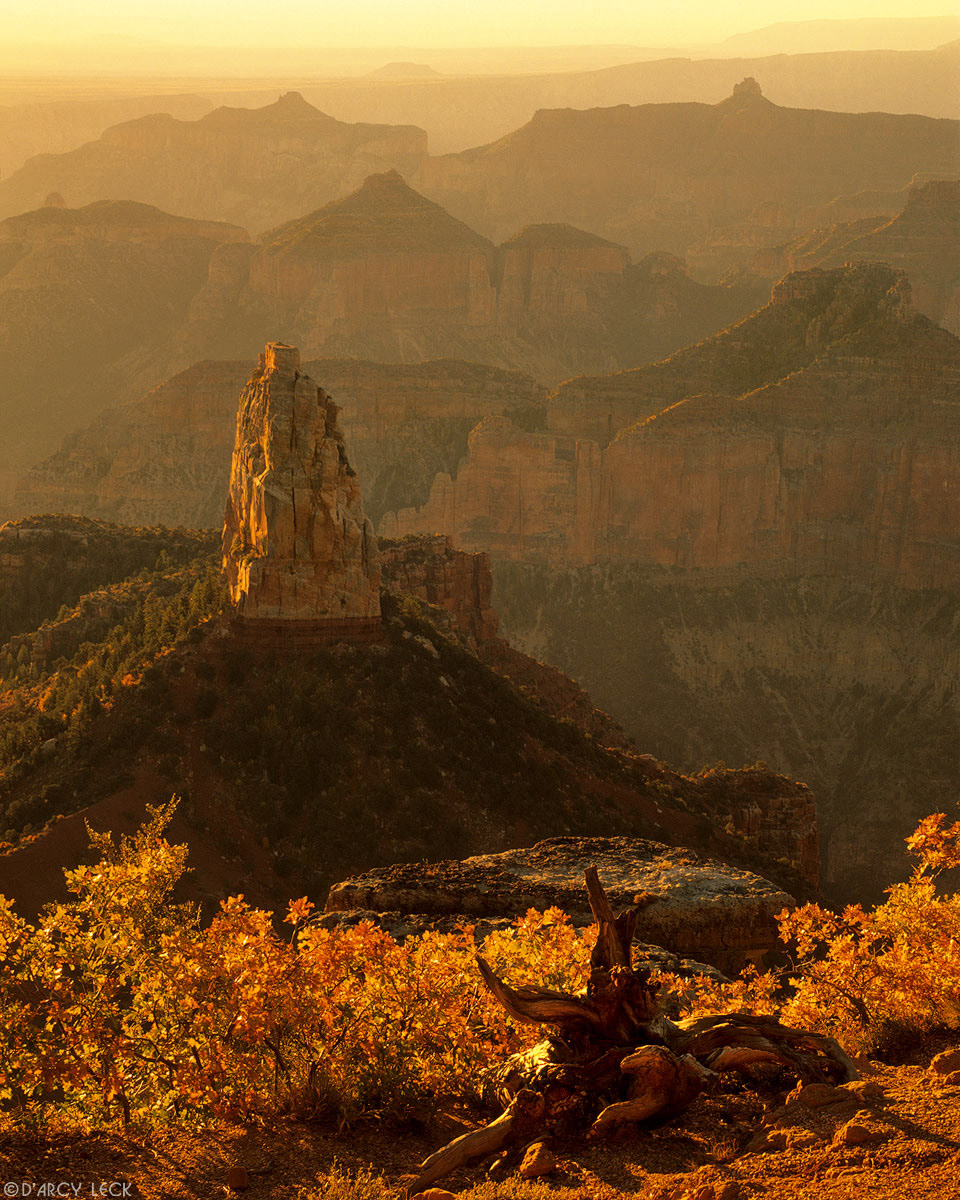 Morning light warms the Grand Canyon from Point Imperial, Grand Canyon National Park, Arizona, USA