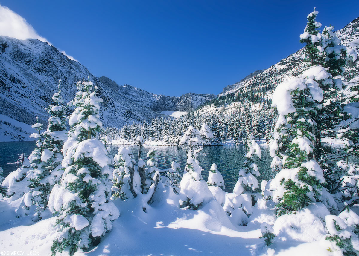 Snow covers trees around Bertha Lake after late autumn snowfall, Waterton National Park, Canada
