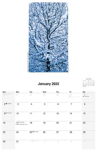 Nature Calendar, January 2022 by photographer D'Arcy Leck