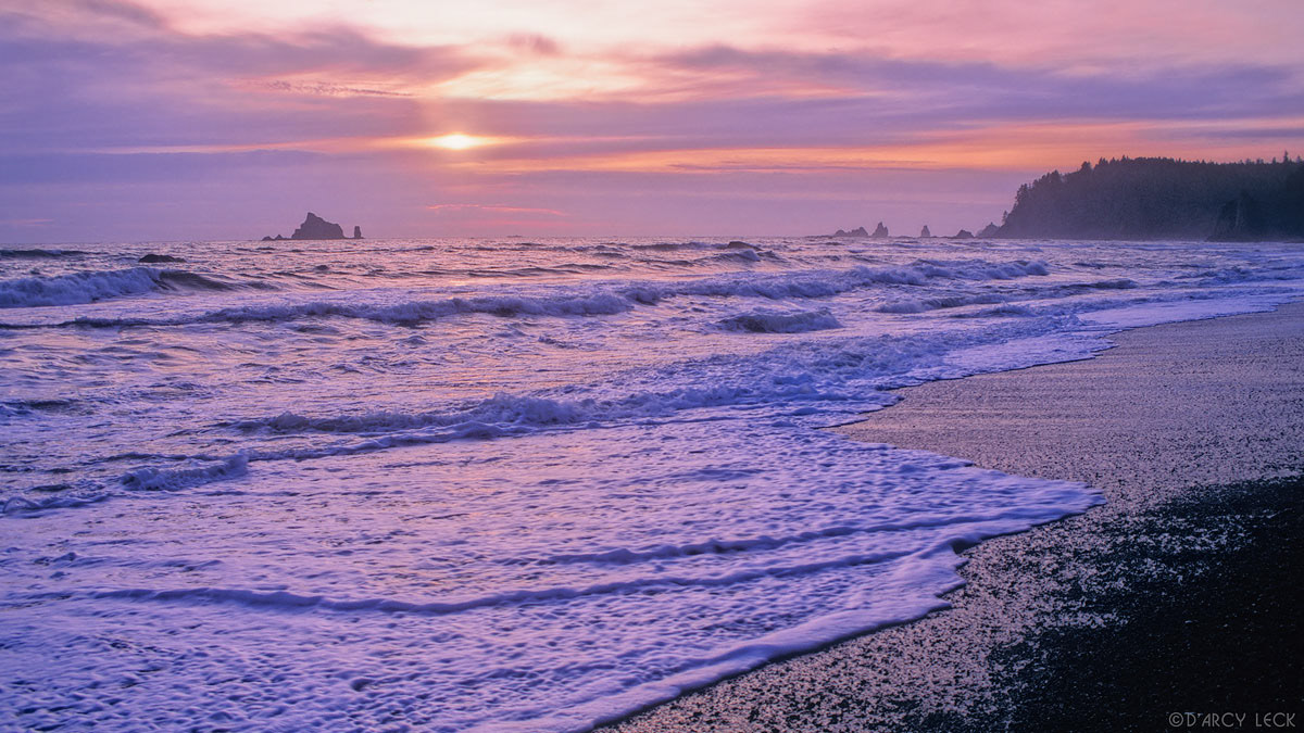 Surf rolls up beach at sunset at Rialto Beach, Washington