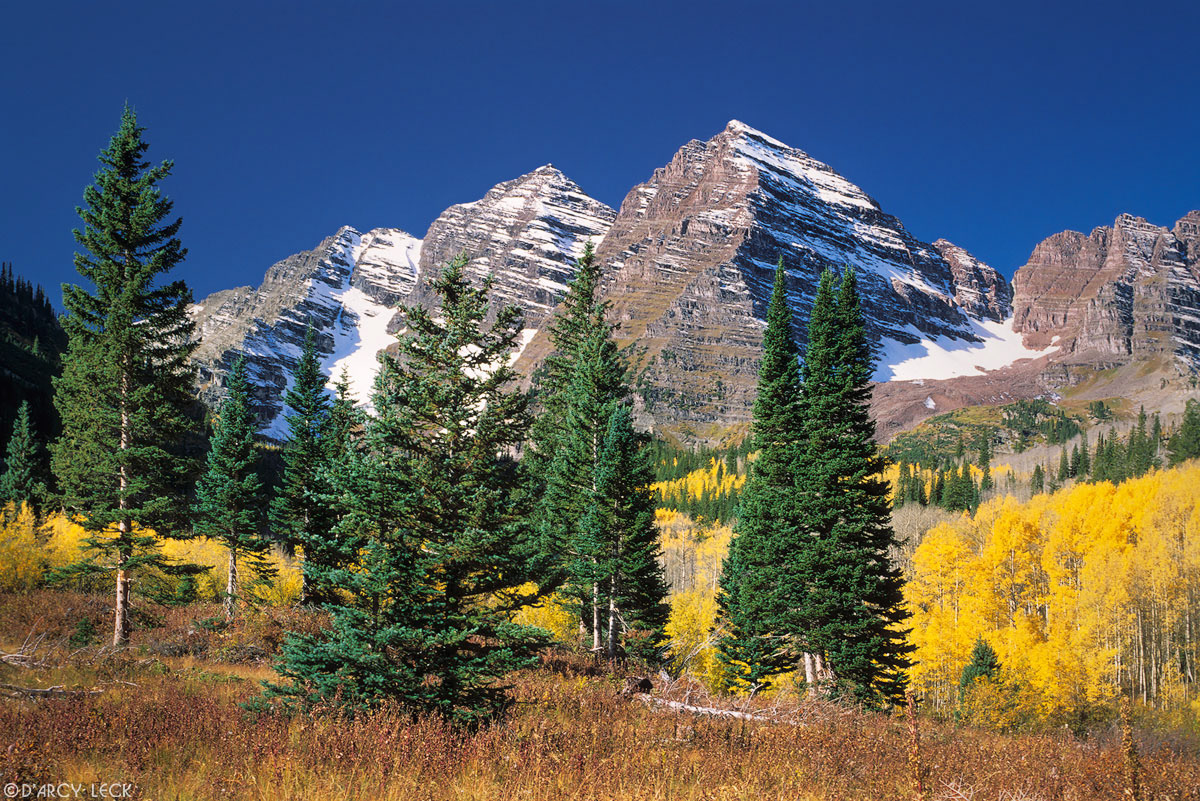 Maroon Bells with pine and aspen trees in autumn, Maroon Bells - Snowmass Wilderness, Colorado, USA