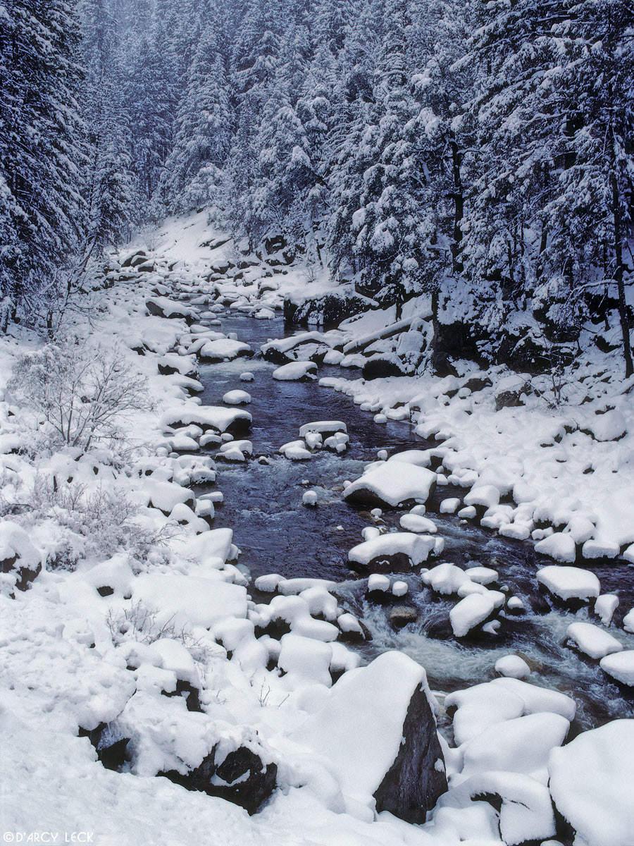 New snow covers rocks and trees along creek in Sierra Nevada Mountains, California