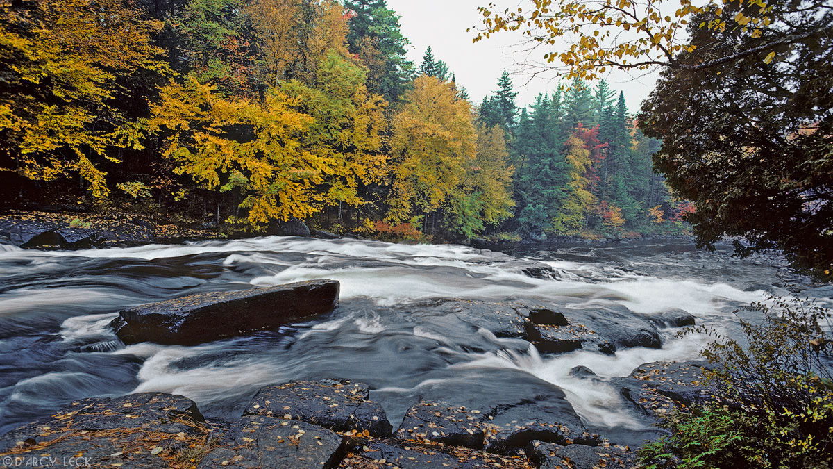 Water of the Raquette River cascades over rocks through forest turning autumn colors near Buttermilk Falls, Adirondack Park, New York