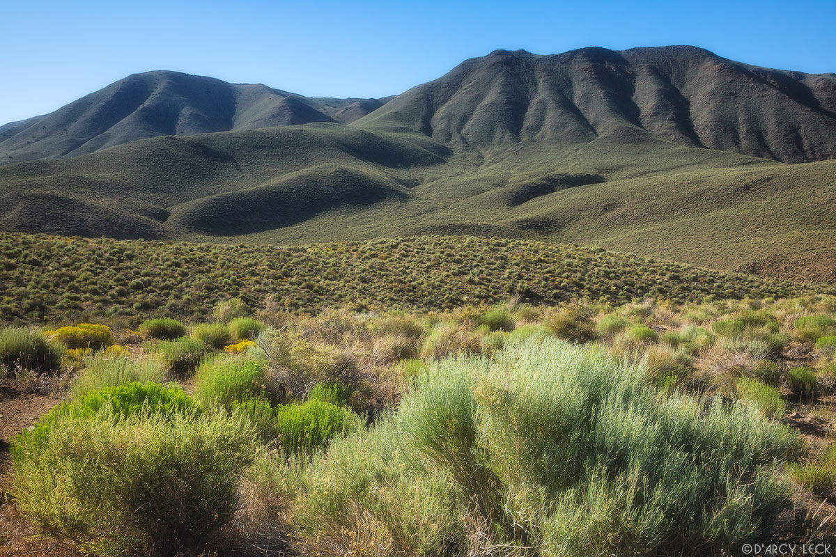 Chocolate Mountain rises above the desert chaparral near Deep Spring Valley in early summer, California