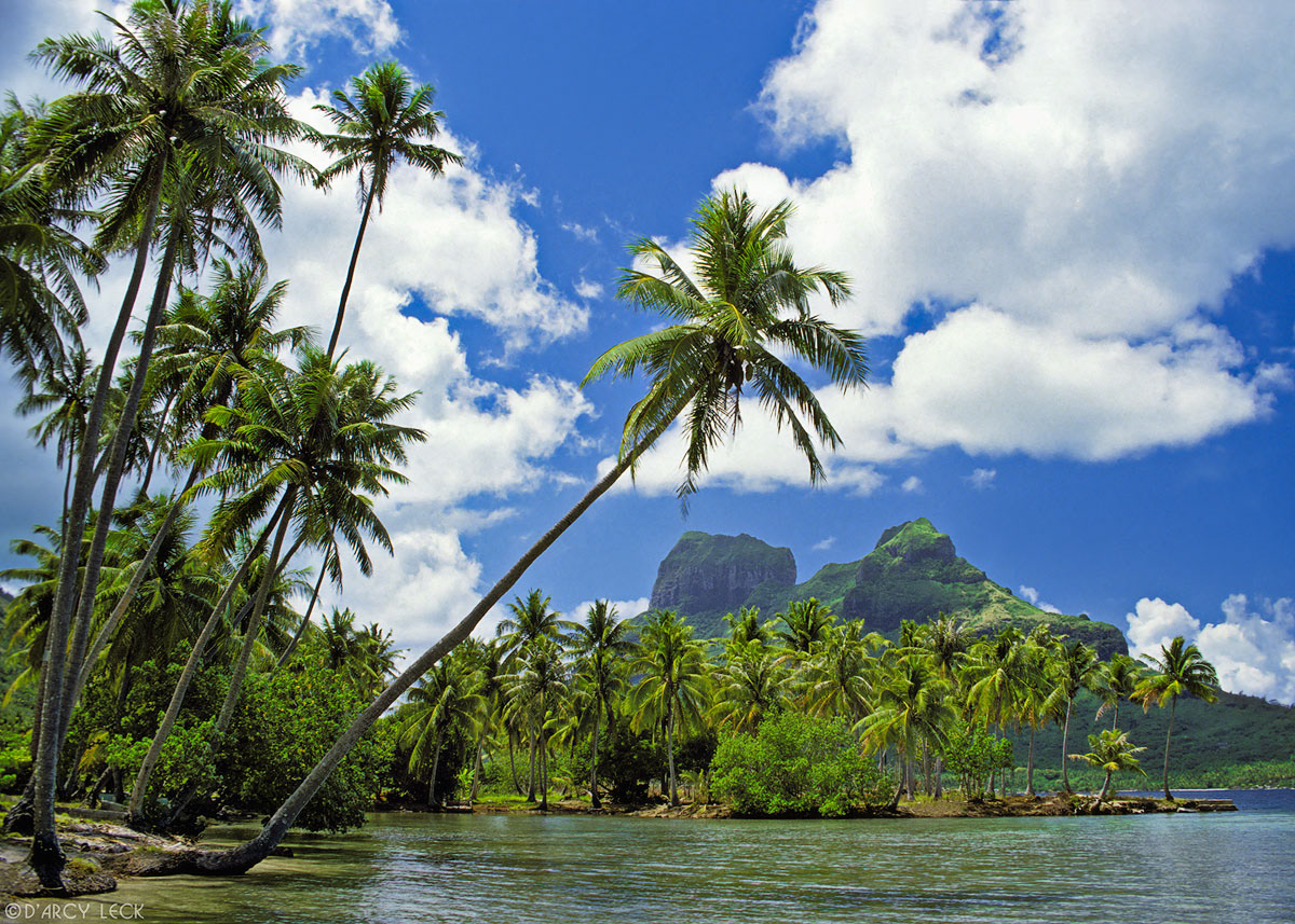 Palm trees line shore of lagoon with Mount Otemanu and Mount Pahia beyond, Bora Bora, French Polynesia