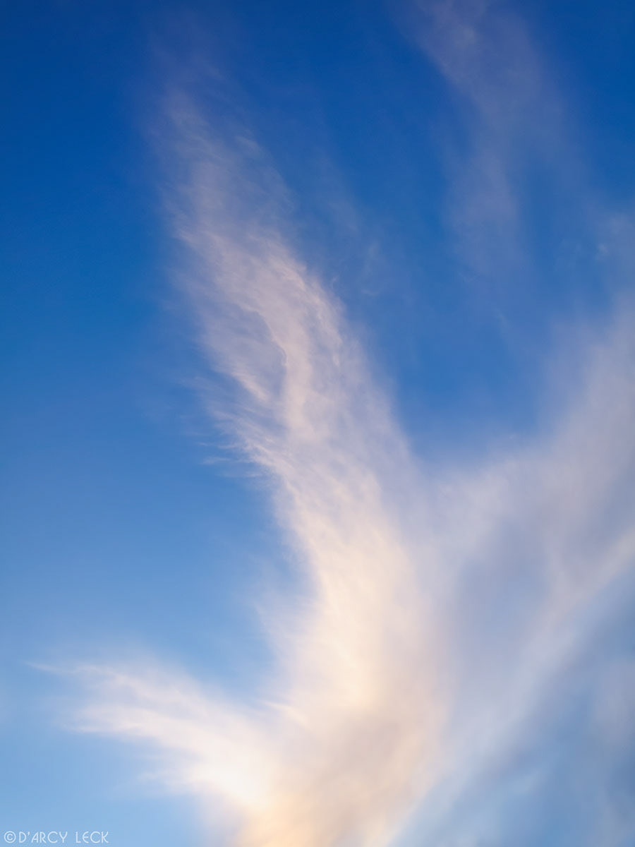 Cirrus clouds at sunset