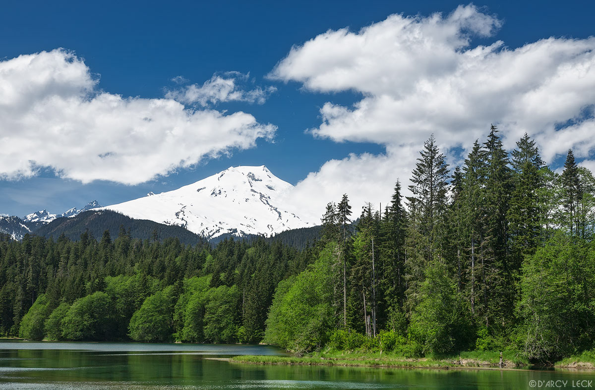 Mount Baker rises above forest along shore of Baker Lake, Washington