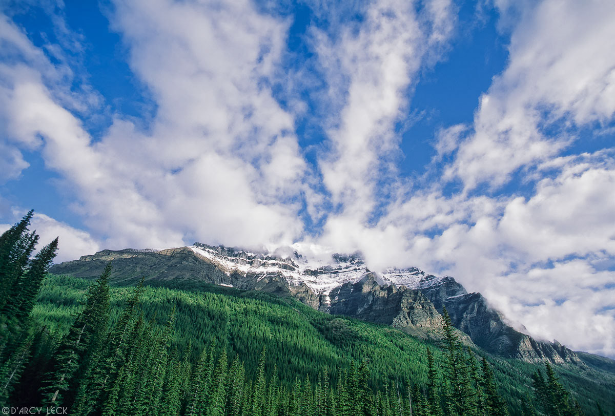 Mount Temple rises above forest as morning clouds clear, Banff National Park, Canada