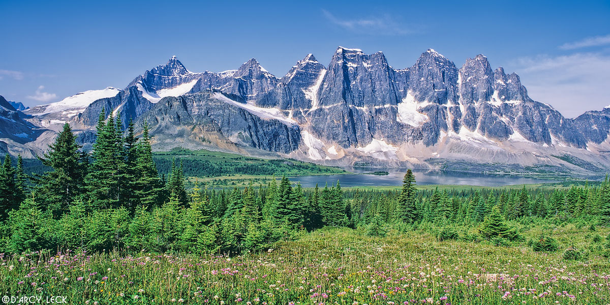 Wildflowers in meadow with The Ramparts rising above Amethyst Lake in distance, Tonquin Valley, Jasper National Park, Canada