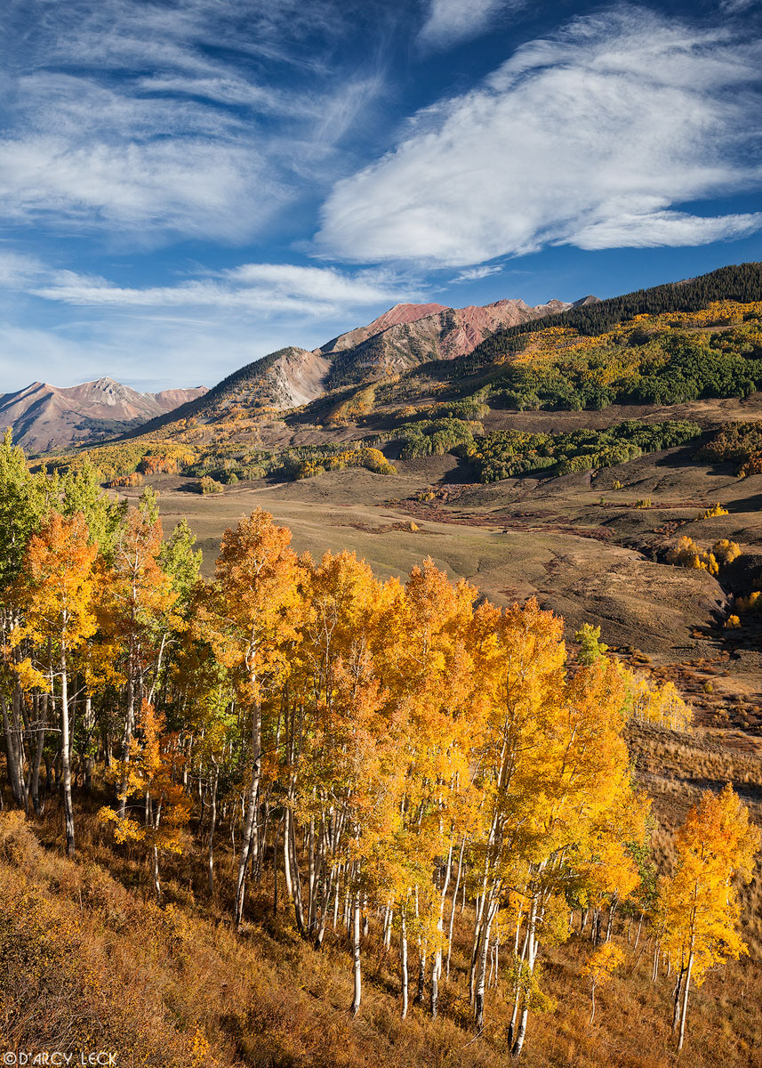 Aspen trees turn Autumn colors in the East River Valley along Gothic Road with the Elk Mountains in the distance, Colorado