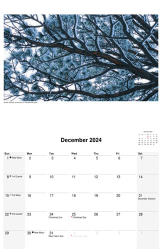 2024 scenic-nature calendar by D'Arcy Leck