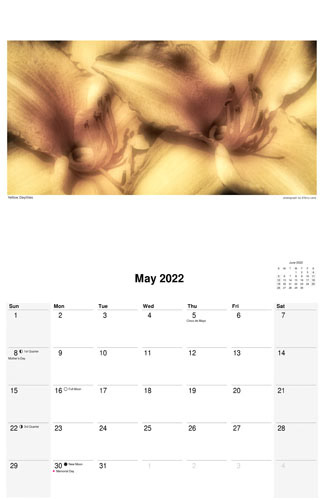 Nature Calendar, May 2022 by photographer D'Arcy Leck