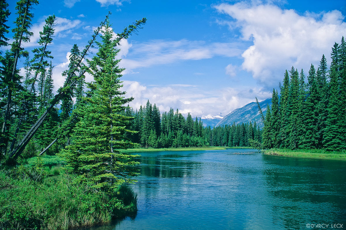 Bow River near Banff, Banff National Park, Canada