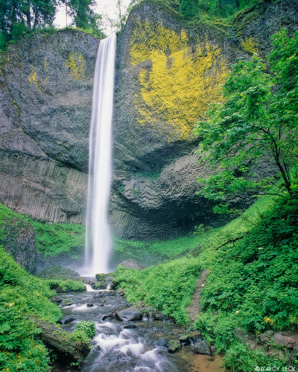 Lataurell Falls along the Columbia River Gorge