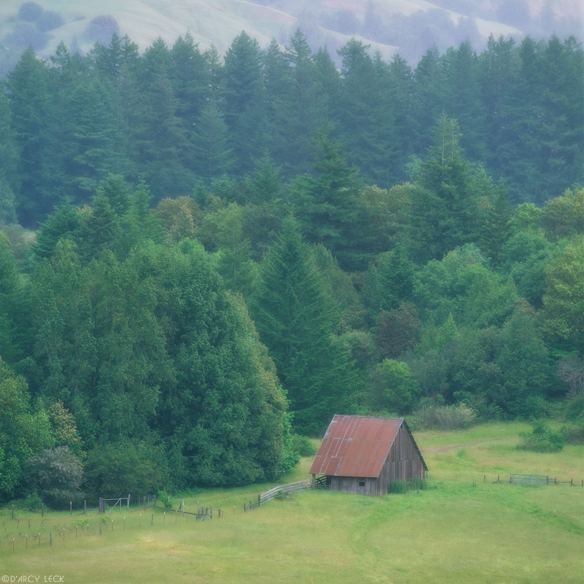 Barn in field on edge of forest in rolling hills near Honeydew, California