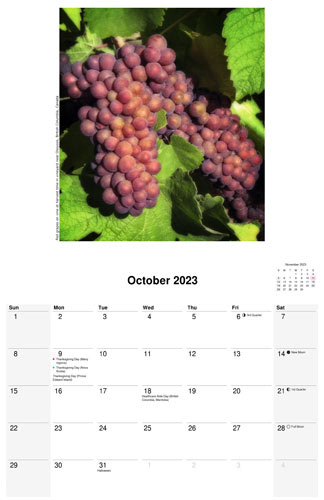 October 2023 scenic calendar by D'Arcy Leck