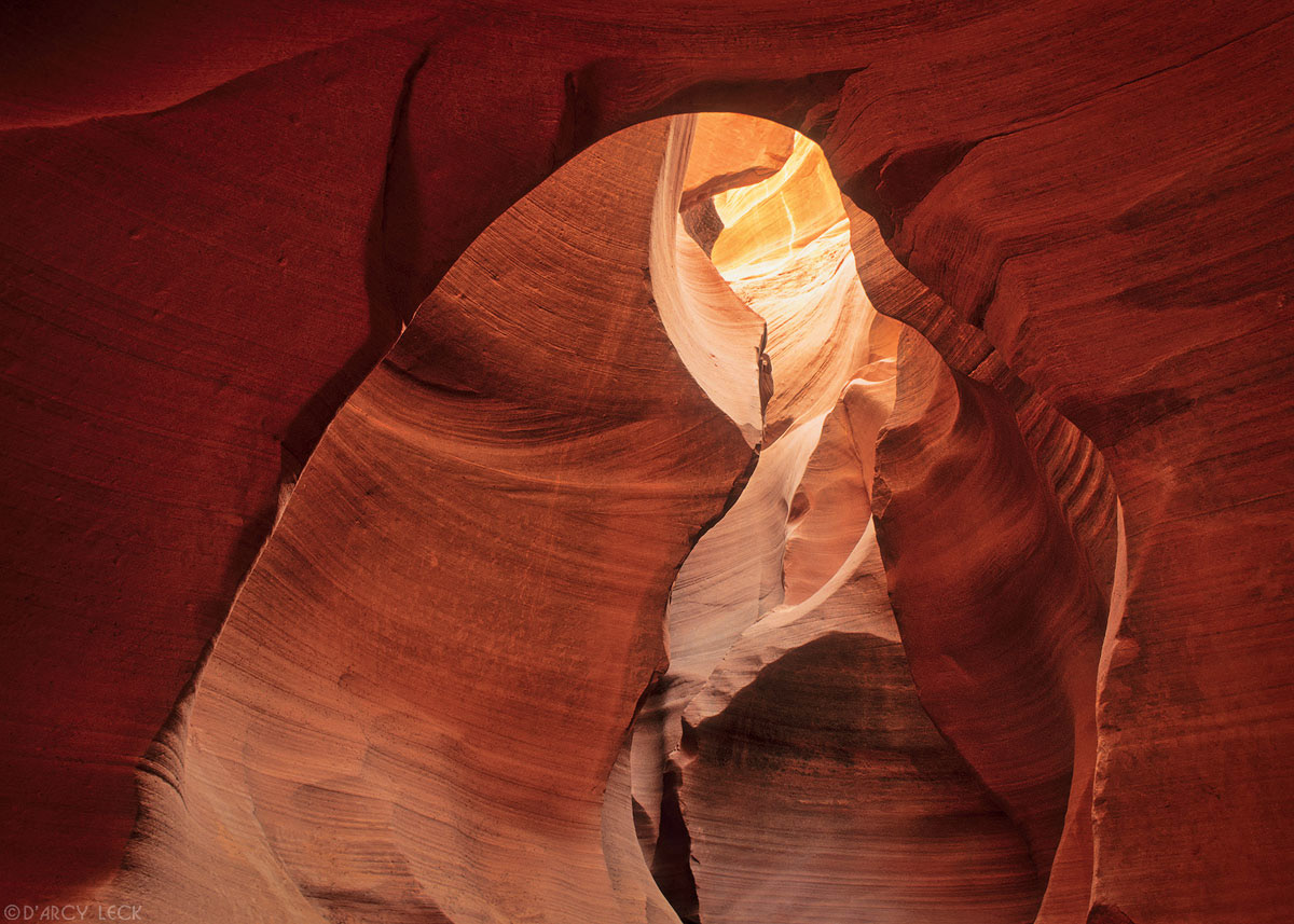 Water-sculpted slot canyon sandstone walls, Lower Antelope Canyon, Arizona