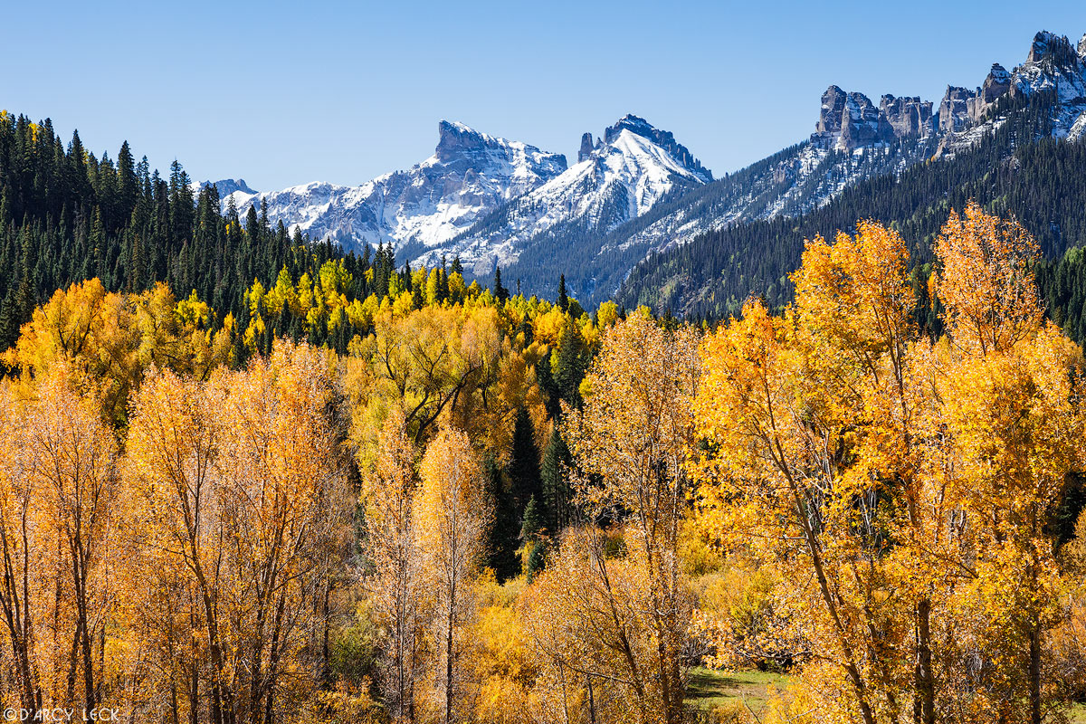 Forest meadow in early Autumn near the confluence of the East Fork and Middle Fork of the Cimarron River, Colorado