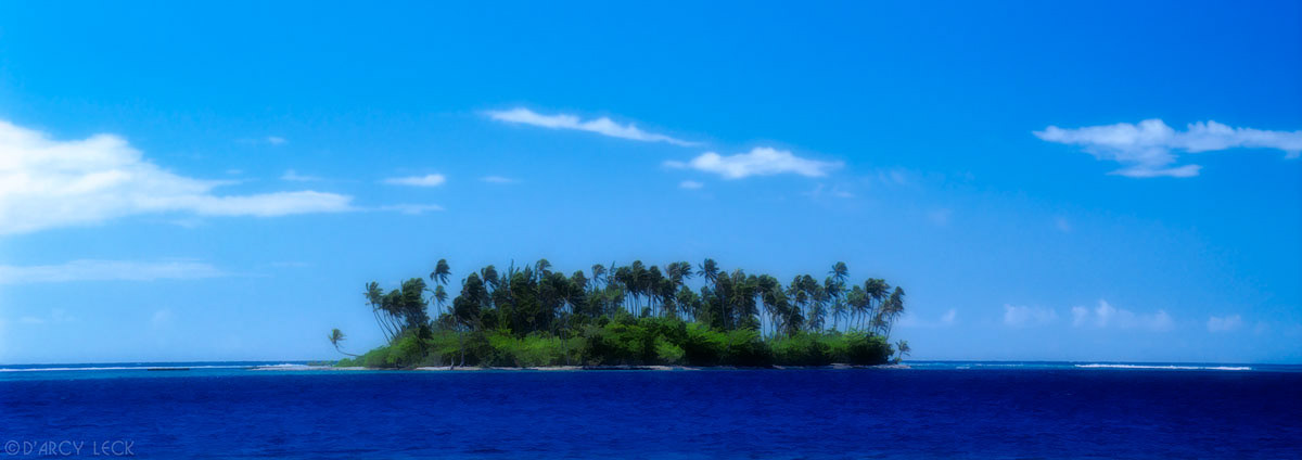 Palm trees populate the tiny island of Motu Ahi off Moorea, French Polynesia