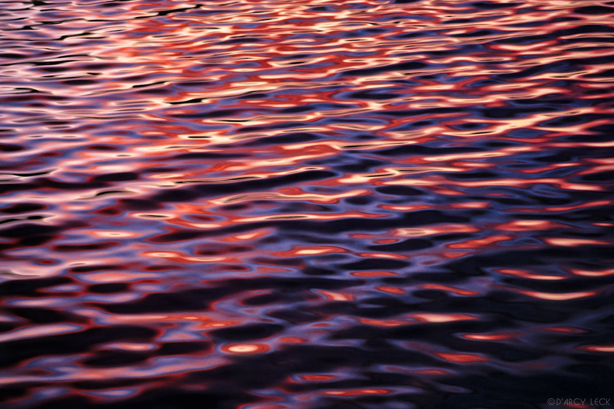Sunset reflecting in rippled water, Moorea, French Polynesia