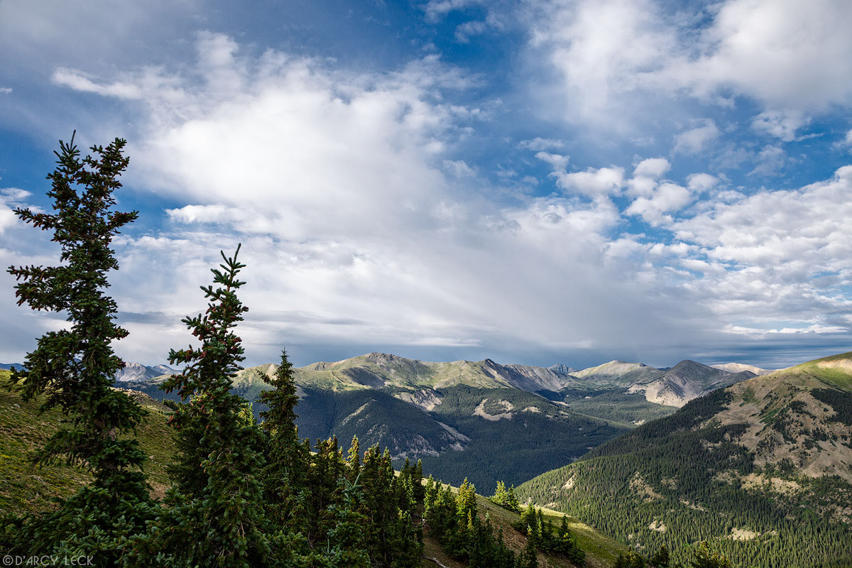Pine trees at treeline on side of Mount Yale with morning rain clouds forming over Sawatch Range to the South, Colorado