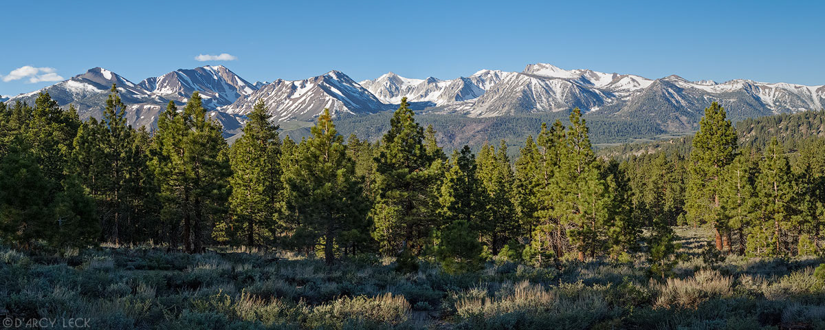 Sierra Nevada Mountains in the John Muir Wilderness rise above forest trees in Smokey Bear Flat, California