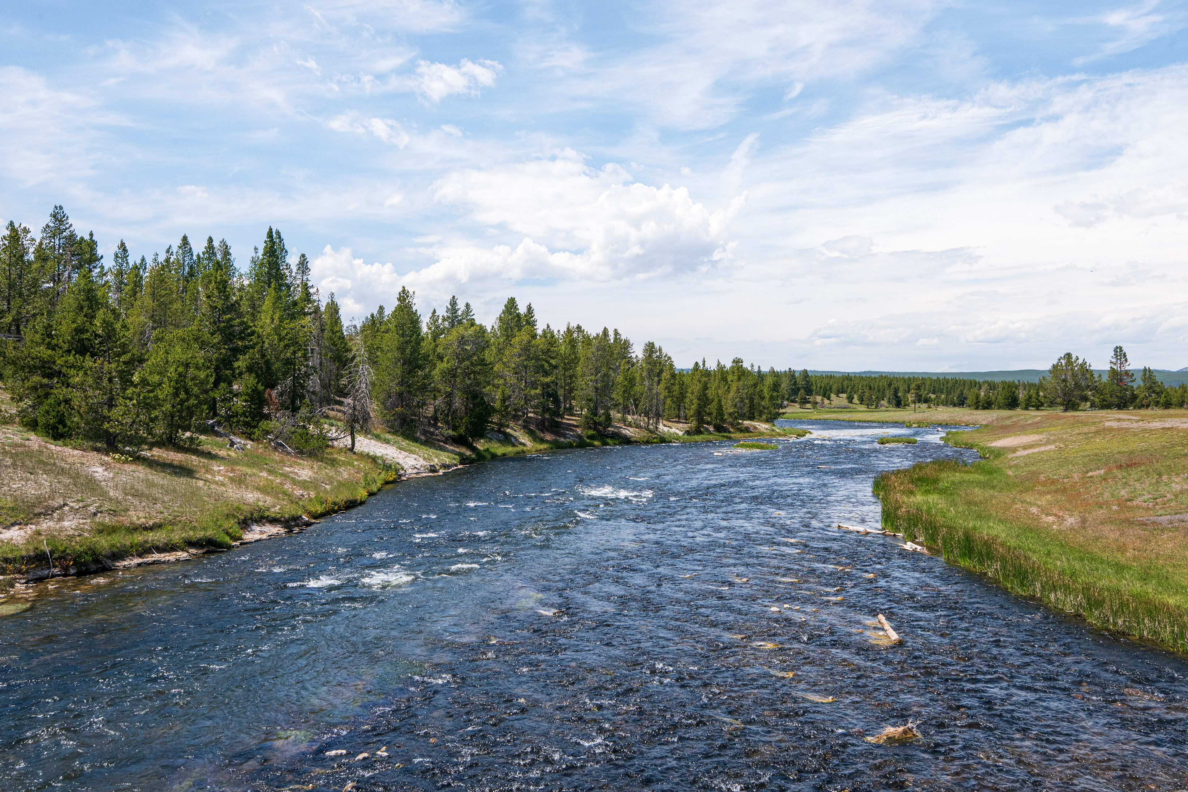 Yellowstone National Park, WY, USA.