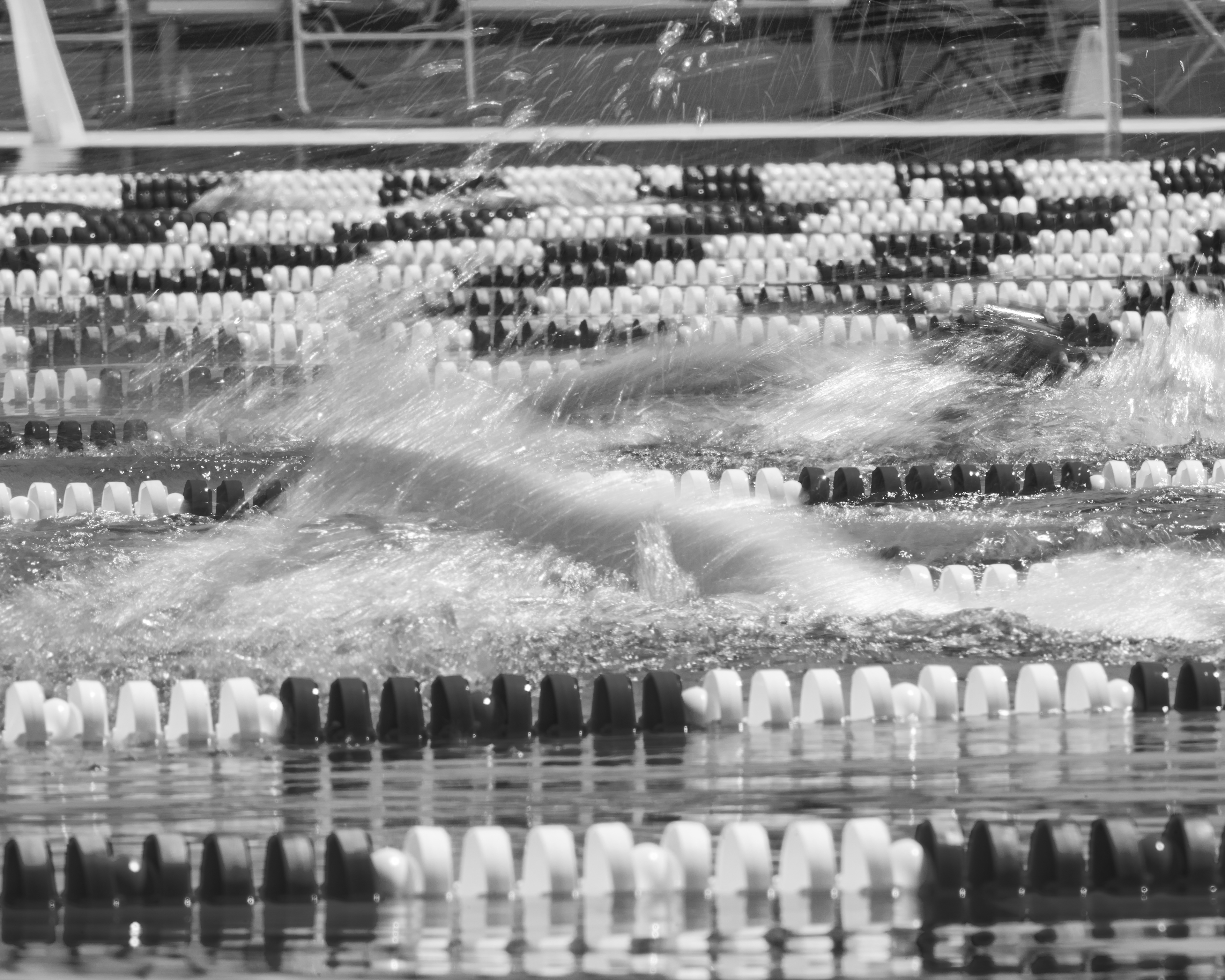 Santa Monica College Swim, CA USA.