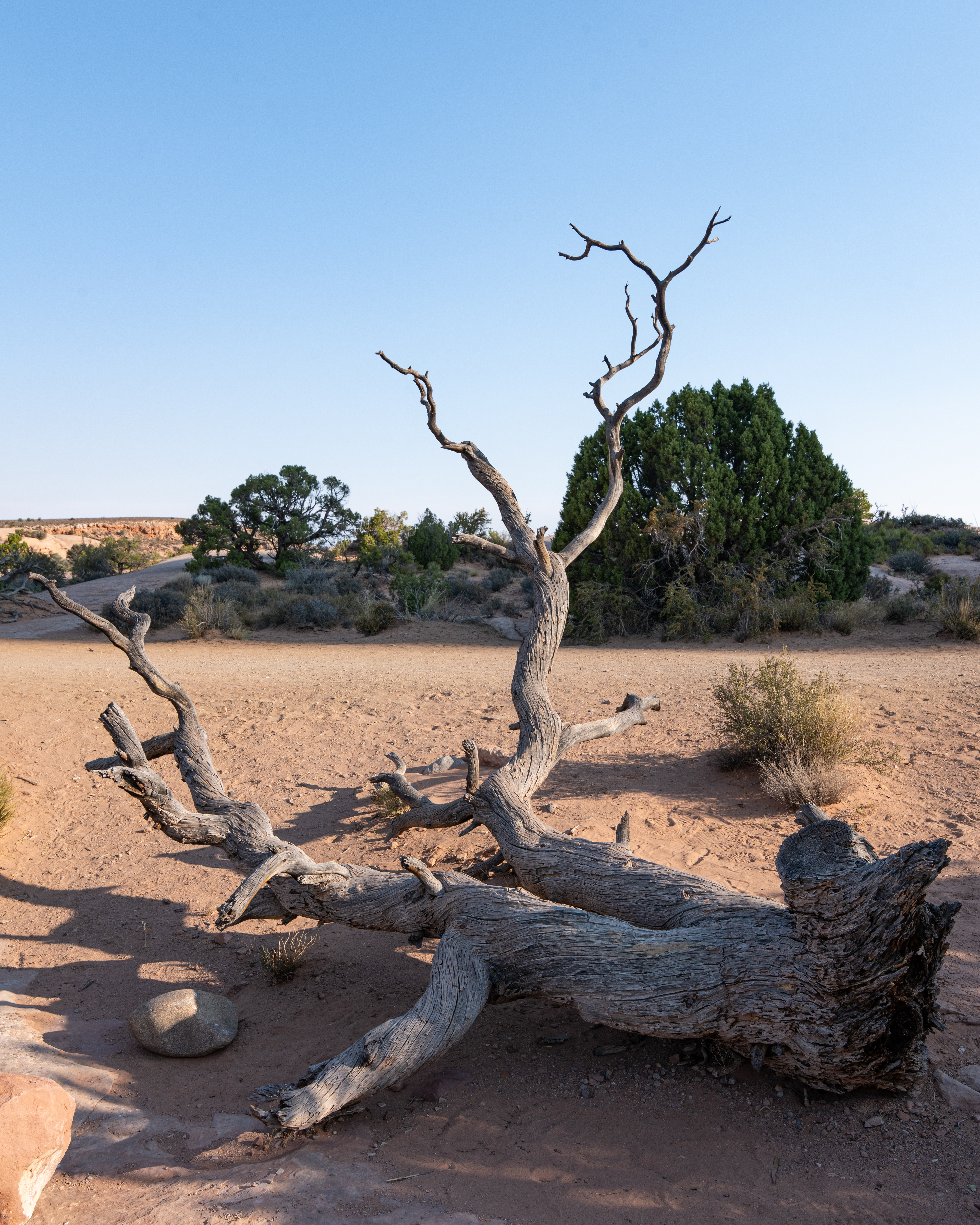 Arches National Park, UT, USA.