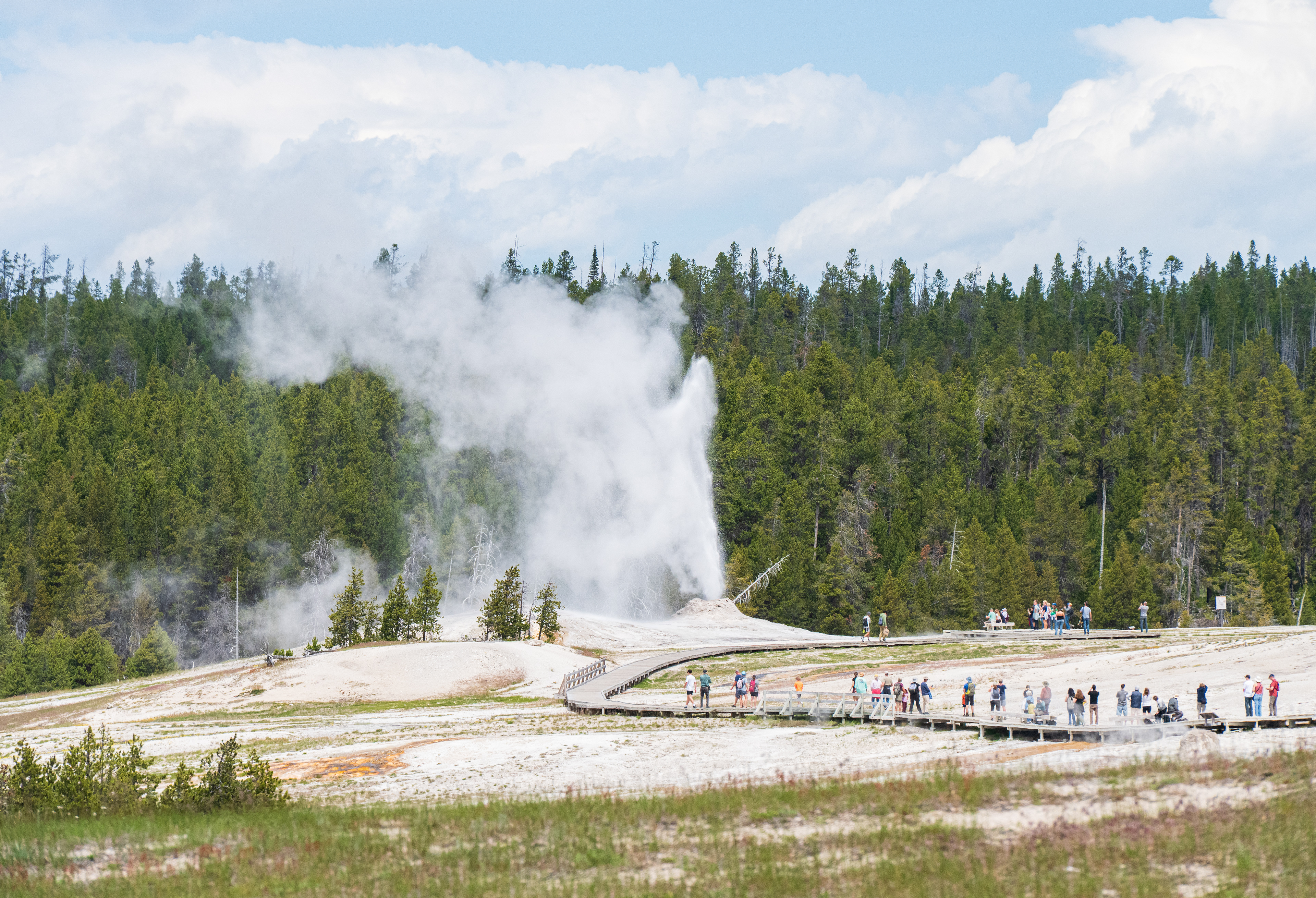 Near Old Faithful, Yellowstone National Park, WY, USA.