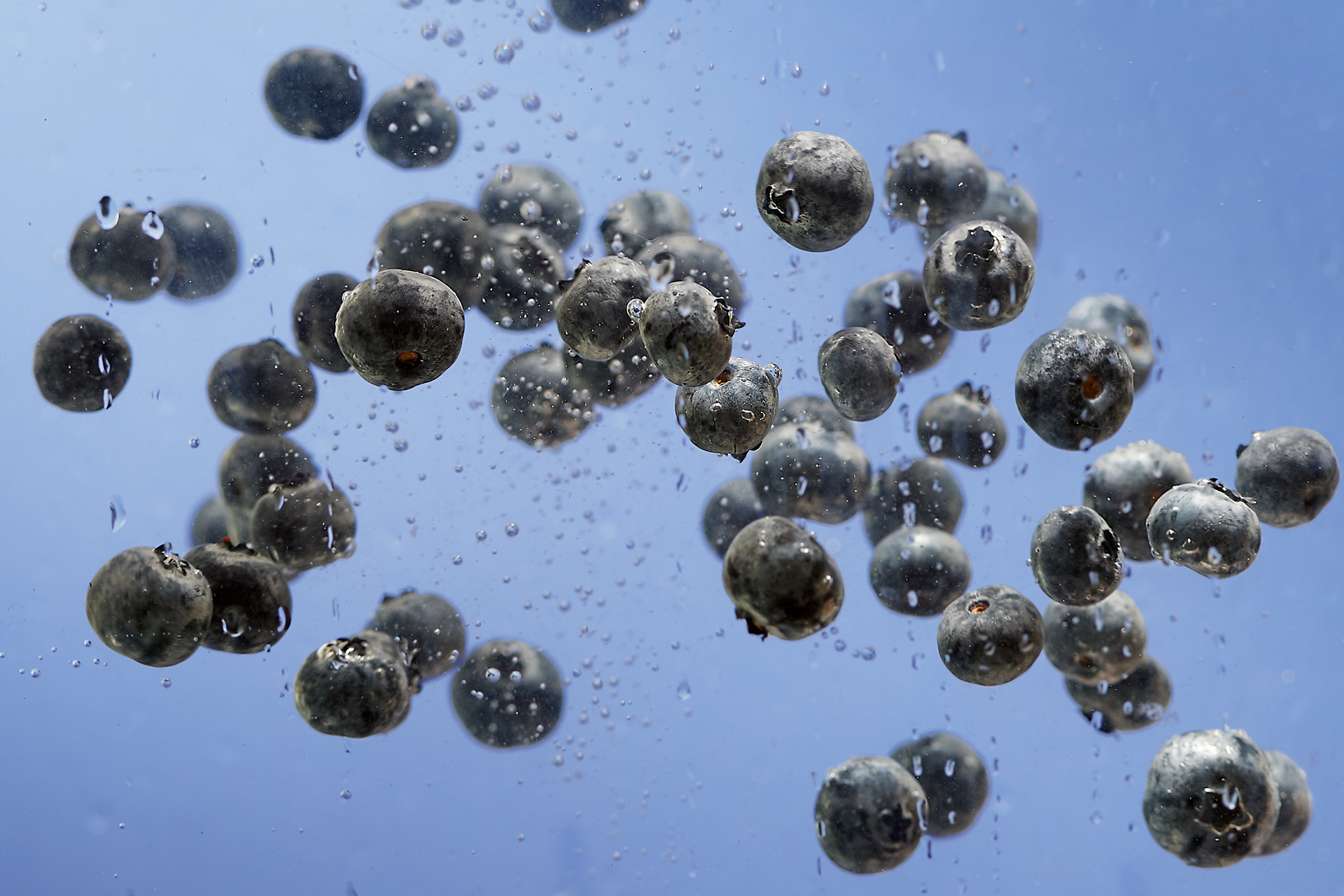 Blueberries.