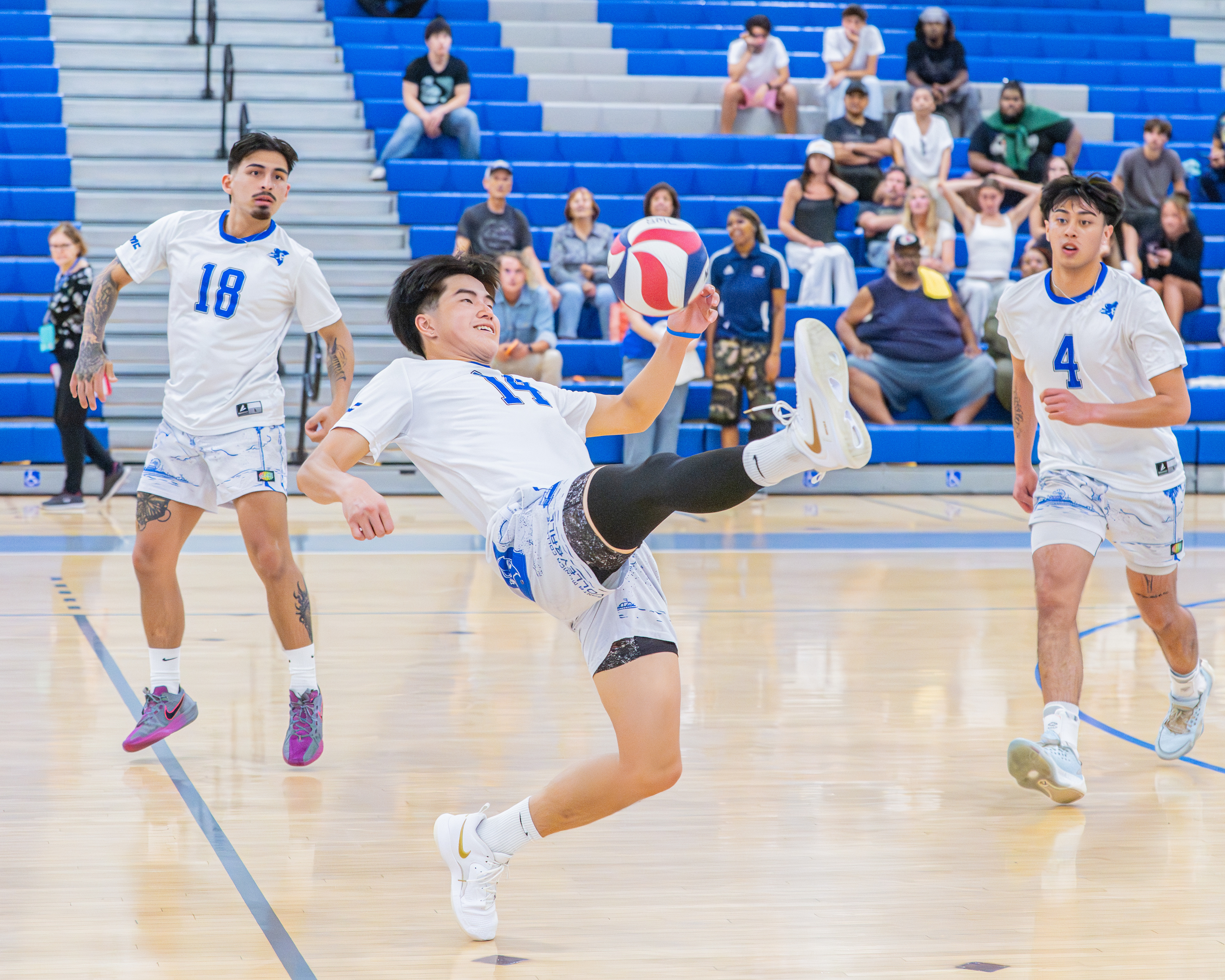 Santa Monica College Men's Volleyball 2026.