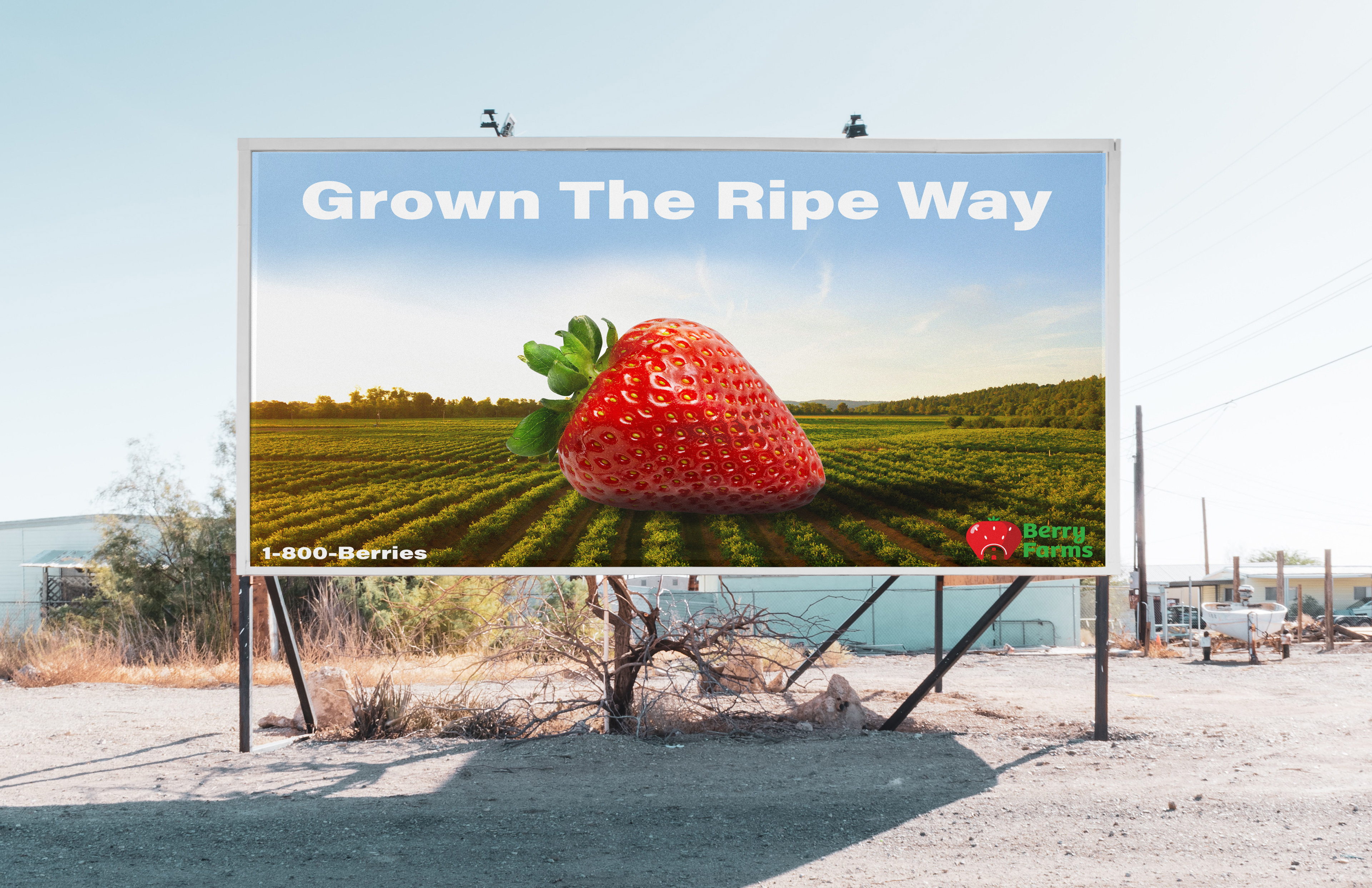 Billboard Ad