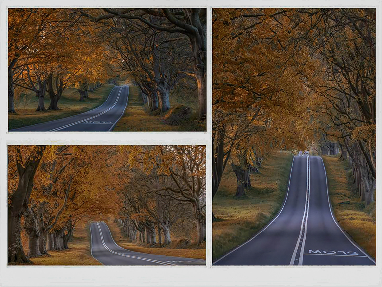 HC - Autumn Roads - Jenny Bradley