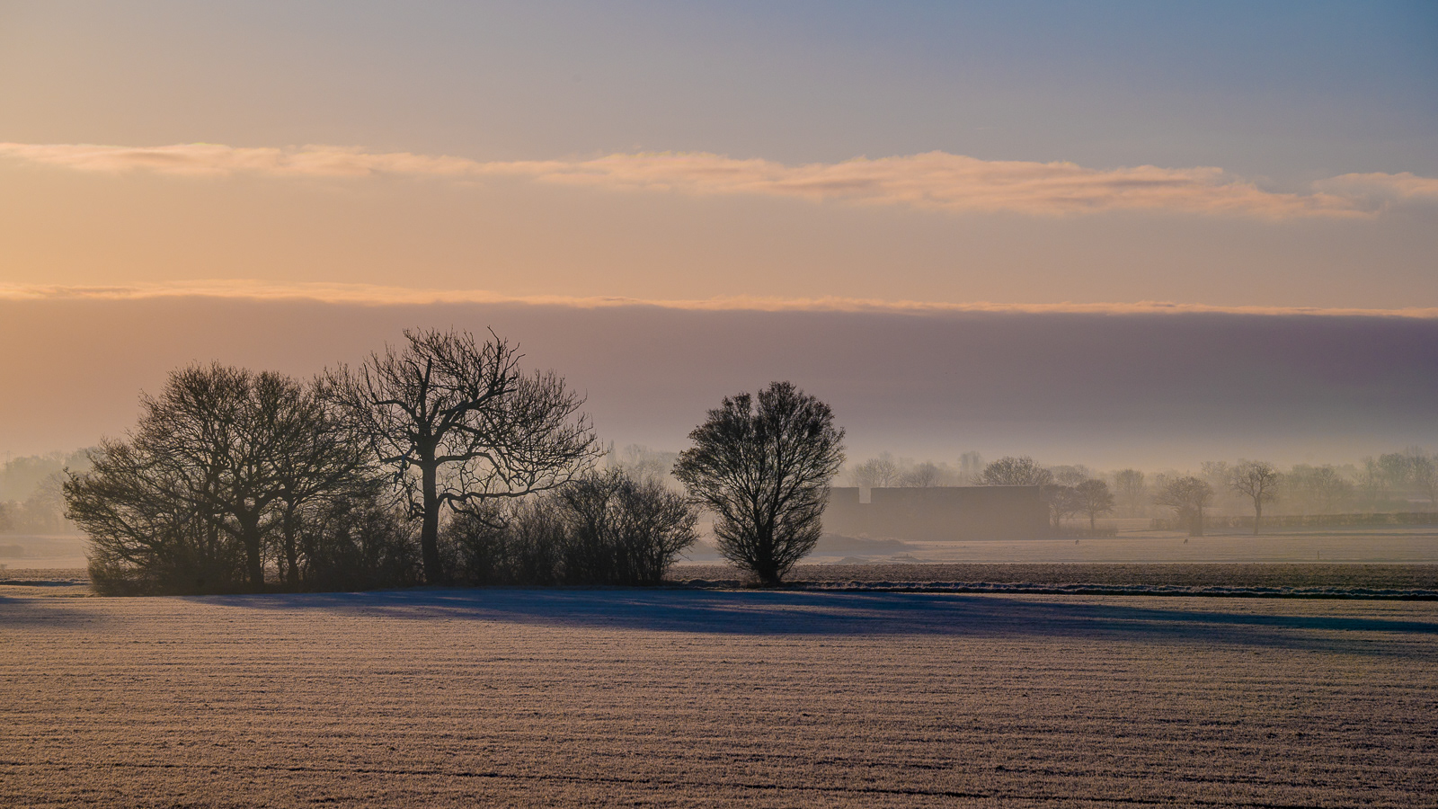 Frosty Dawn