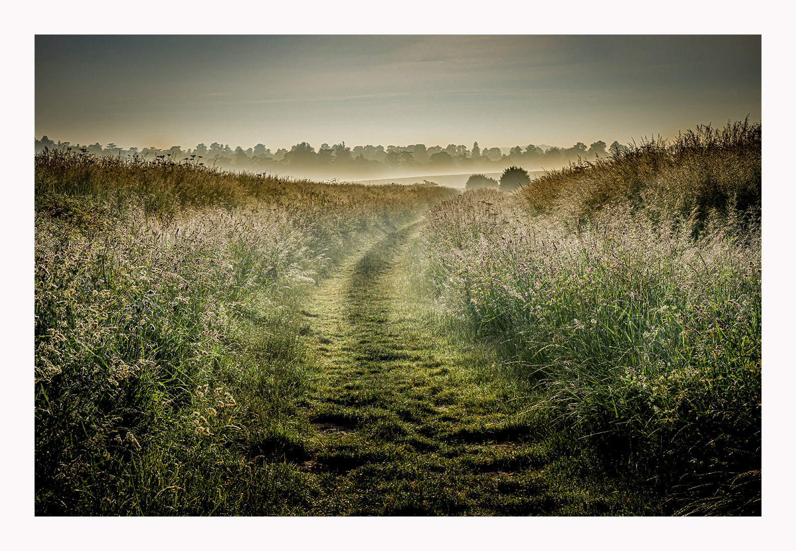 1st/1st INT - Early Morning - Andrea Gillies