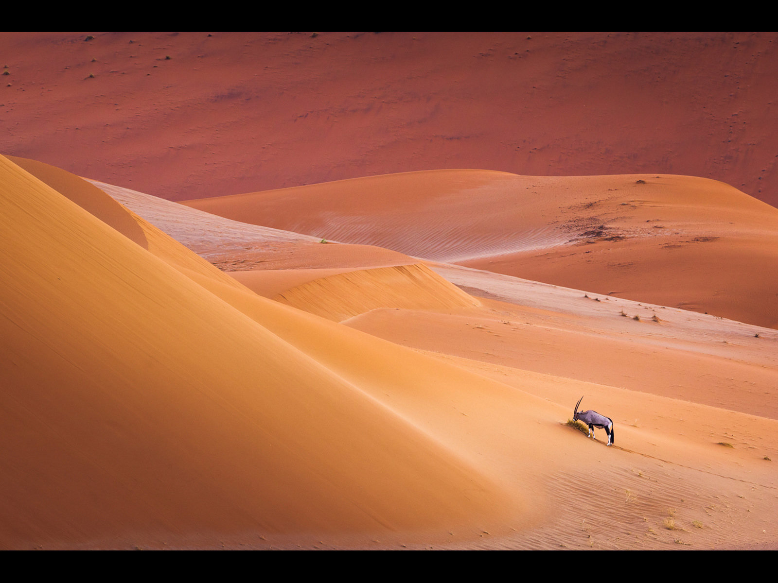 2nd - Life in a Harsh Environment = Justin Minns