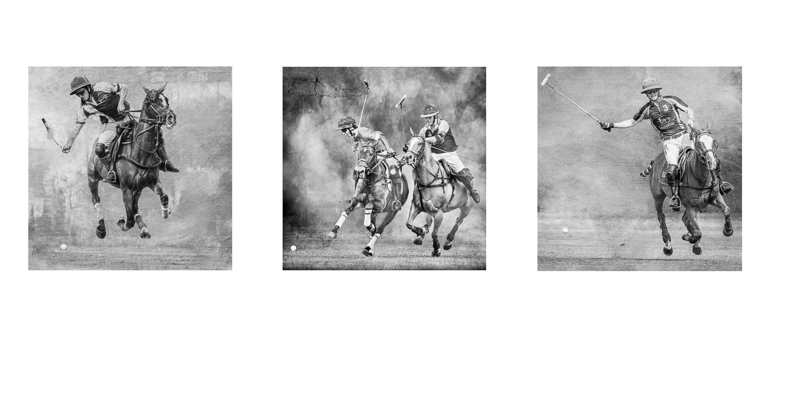 HC - Polo - Charles Coldrey