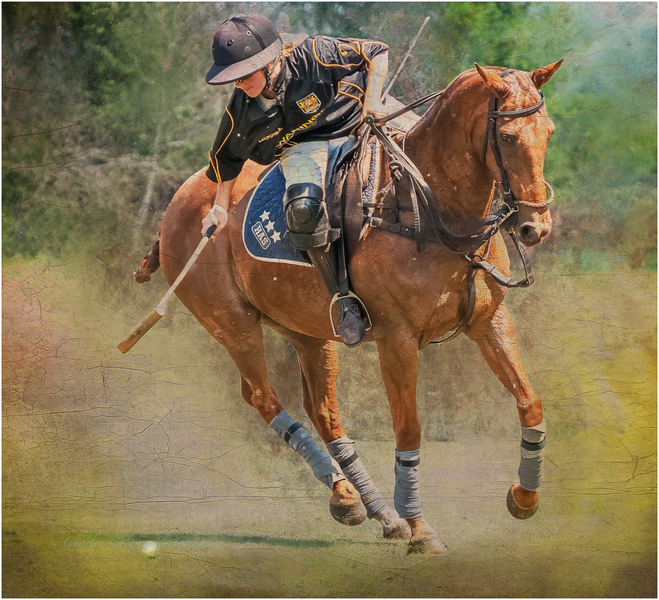 Warings Polo Player