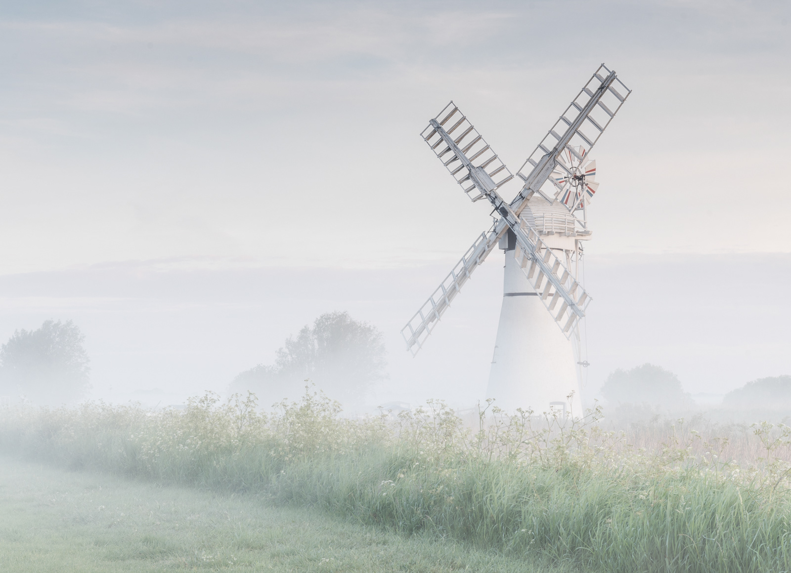 HC - Misty Thurne - Carol Street