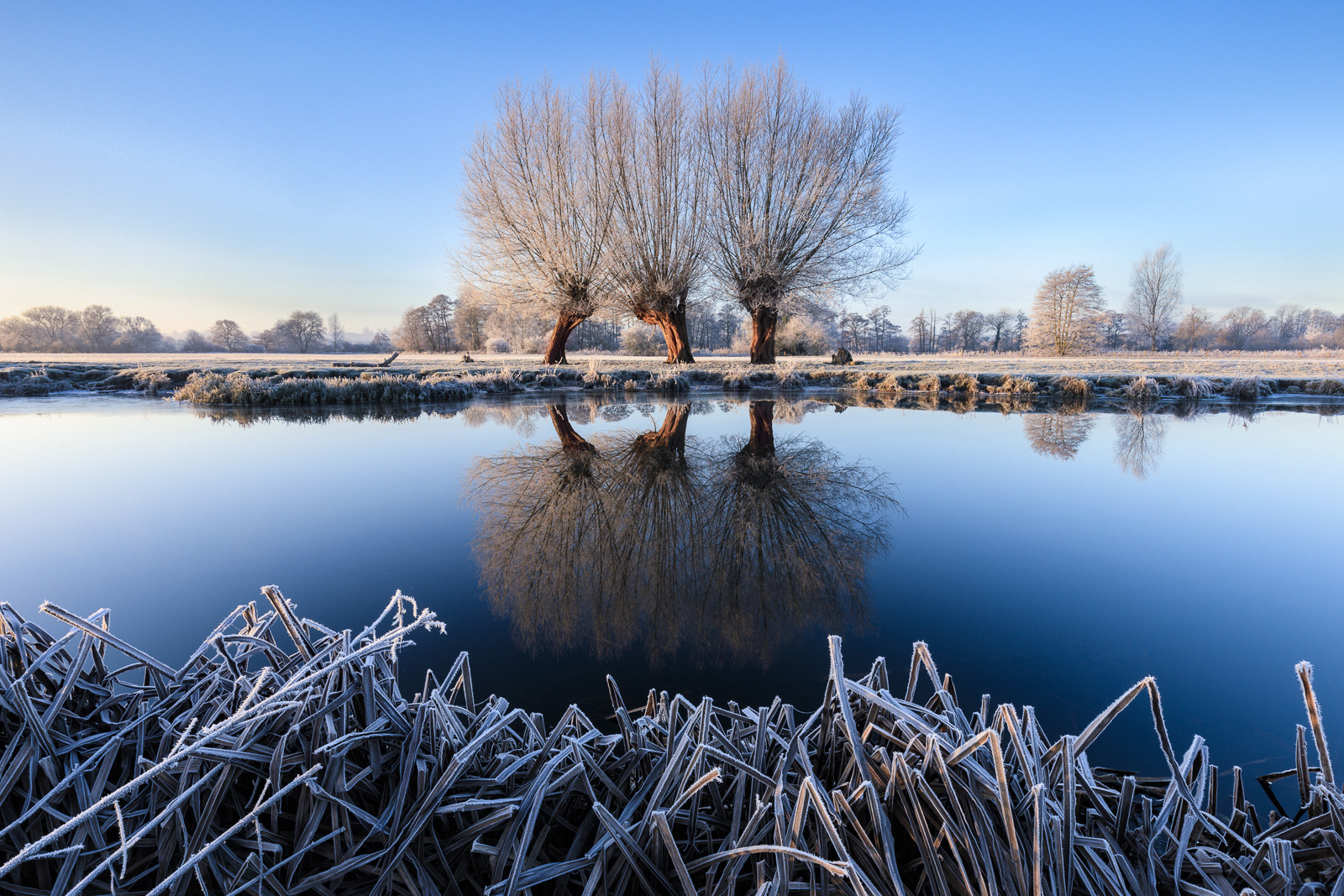 Frostbitten